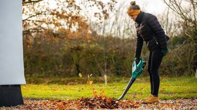 Будкрам купити Повітродувка ALB 18 LI  Повітродувка ALB 18 LI  4